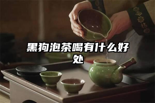 黑狗泡茶喝有什么好处