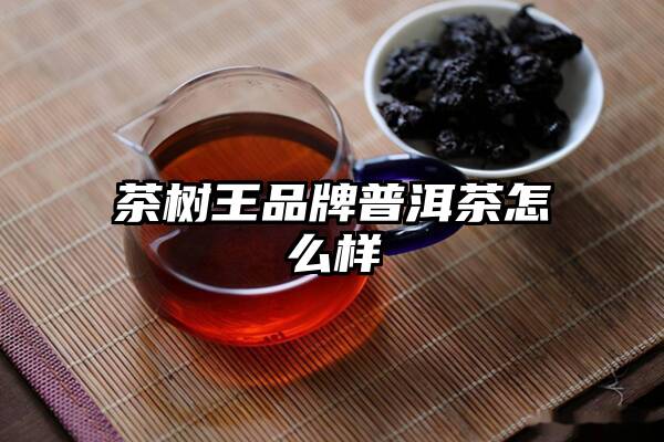 茶树王品牌普洱茶怎么样