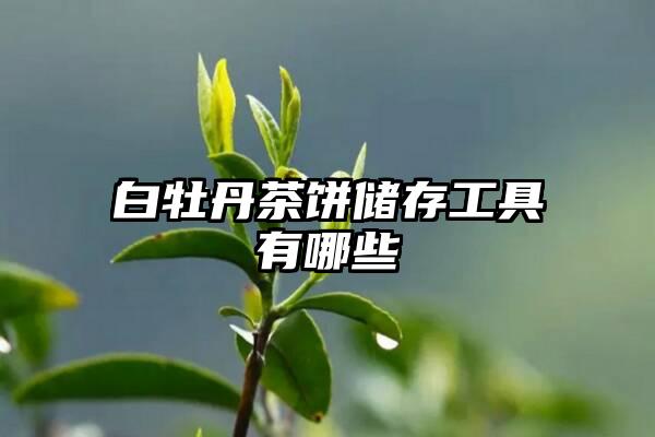 白牡丹茶饼储存工具有哪些