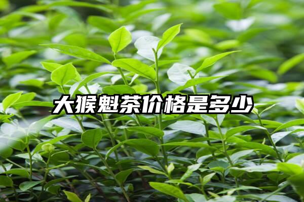 大猴魁茶价格是多少