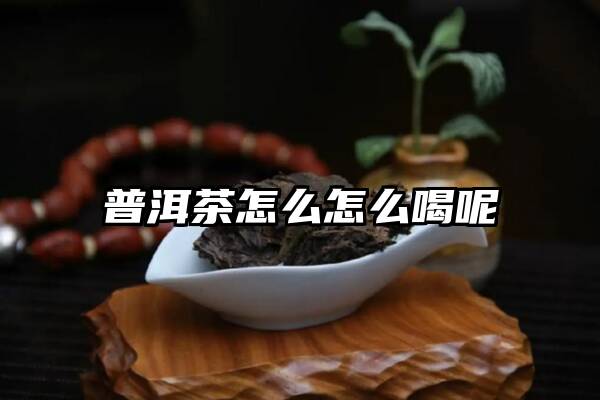 普洱茶怎么怎么喝呢