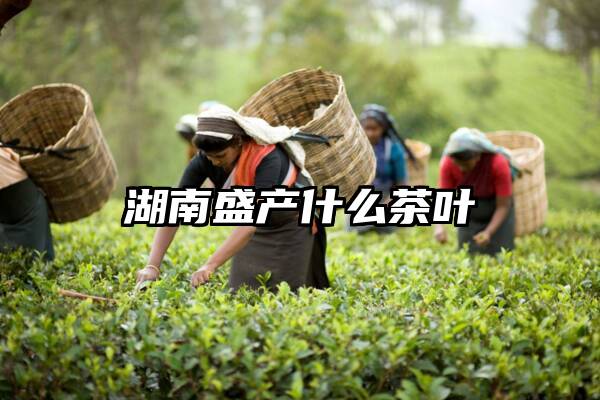 湖南盛产什么茶叶