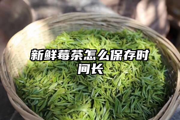 新鲜莓茶怎么保存时间长