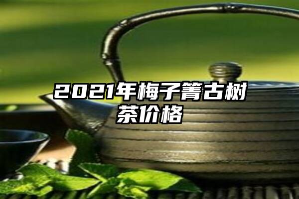 2021年梅子箐古树茶价格