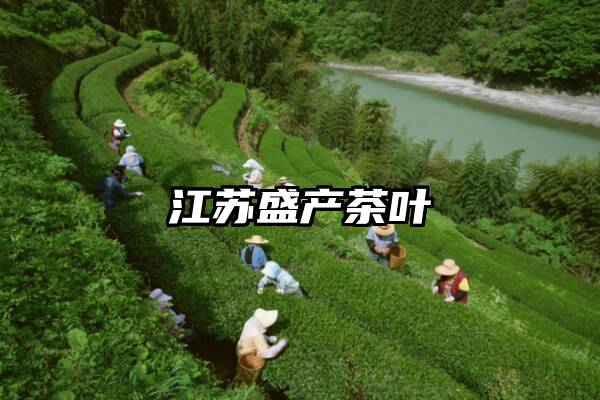 江苏盛产茶叶