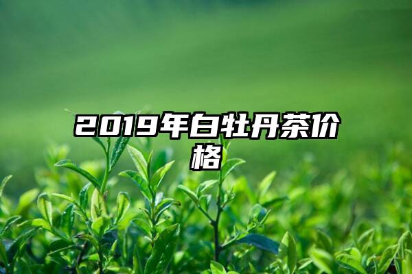 2019年白牡丹茶价格