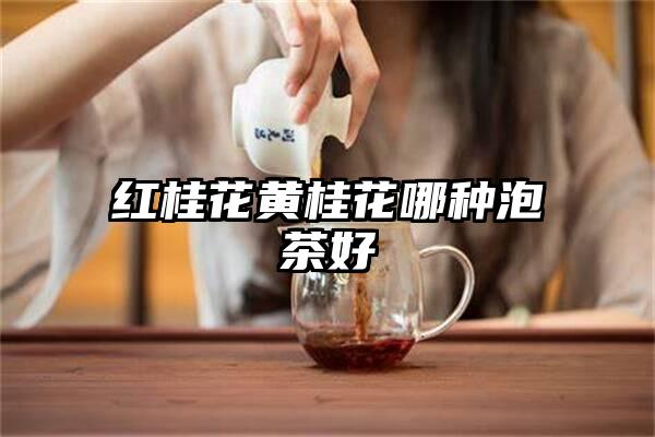 红桂花黄桂花哪种泡茶好