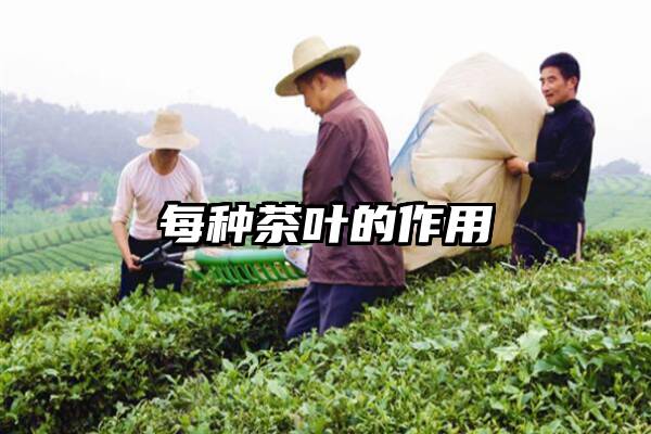 每种茶叶的作用