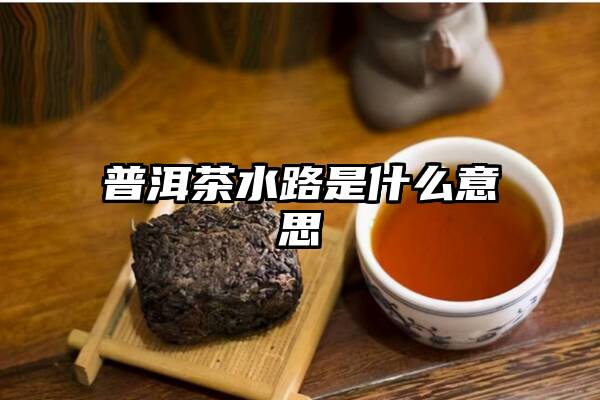 普洱茶水路是什么意思