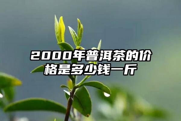 2000年普洱茶的价格是多少钱一斤