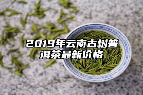 2019年云南古树普洱茶最新价格