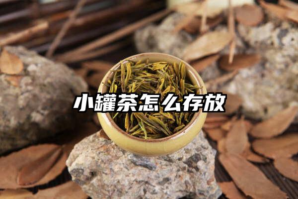 小罐茶怎么存放