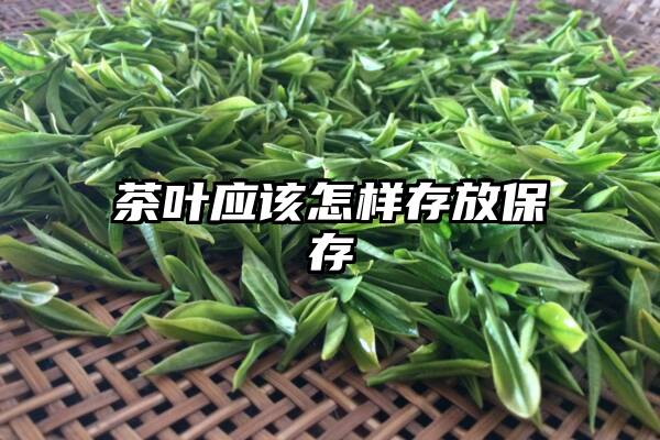 茶叶应该怎样存放保存