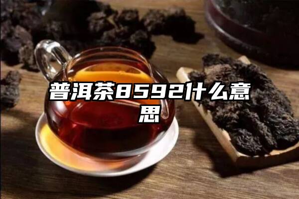 普洱茶8592什么意思