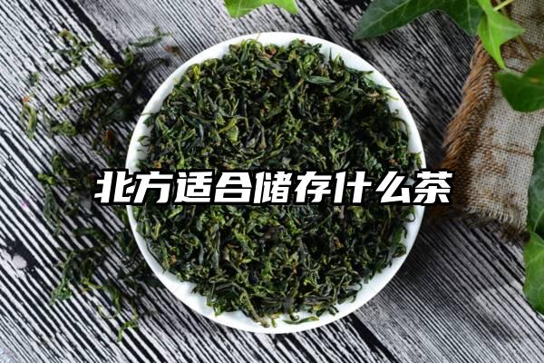 北方适合储存什么茶