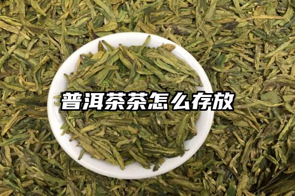 普洱茶茶怎么存放