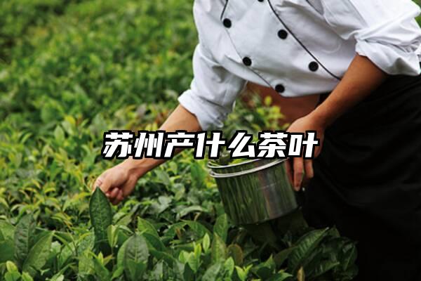 苏州产什么茶叶