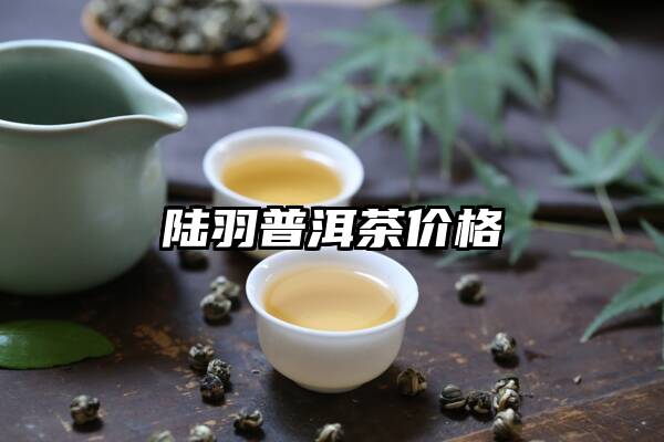 陆羽普洱茶价格