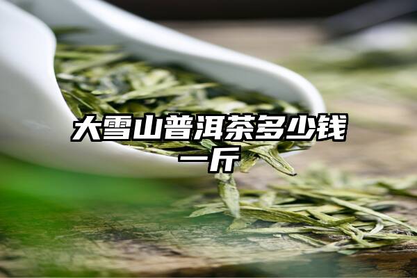 大雪山普洱茶多少钱一斤