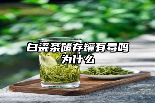 白瓷茶储存罐有毒吗为什么