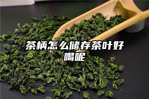 茶柄怎么储存茶叶好喝呢