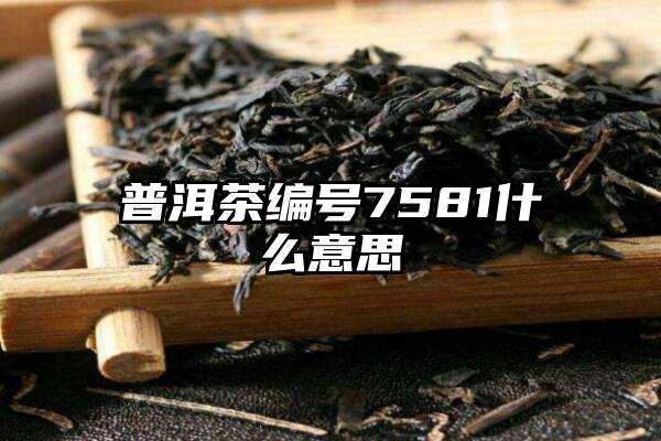 普洱茶编号7581什么意思