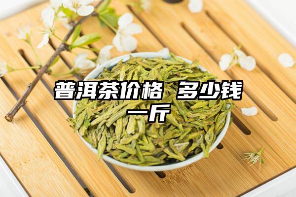 普洱茶价格 多少钱一斤