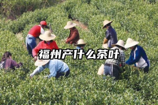 福州产什么茶叶