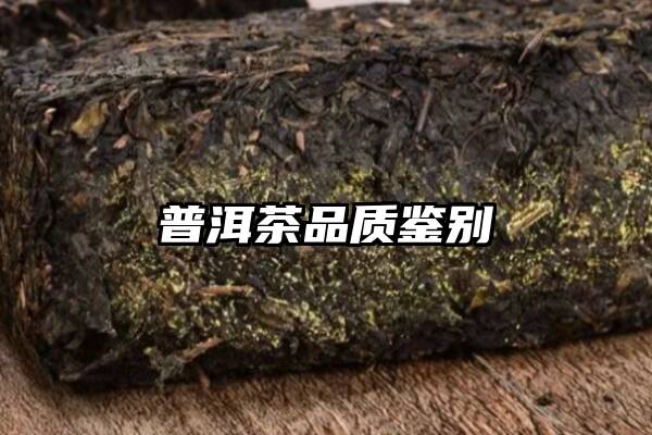 普洱茶品质鉴别