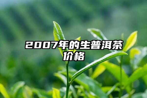 2007年的生普洱茶价格