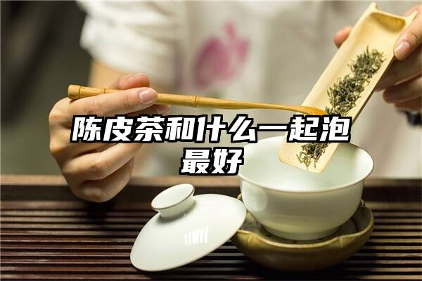 陈皮茶和什么一起泡最好