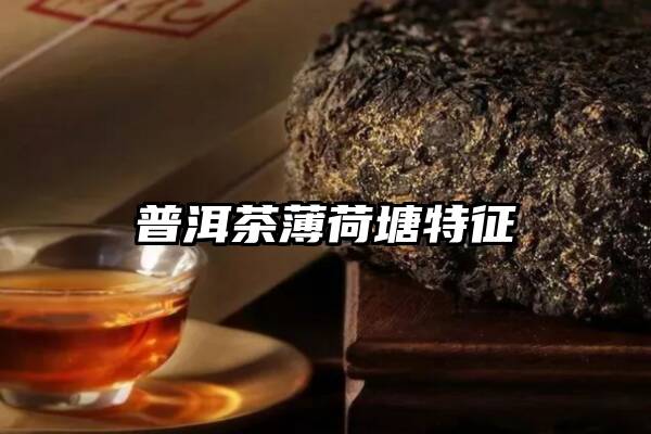 普洱茶薄荷塘特征