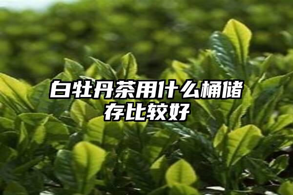 白牡丹茶用什么桶储存比较好