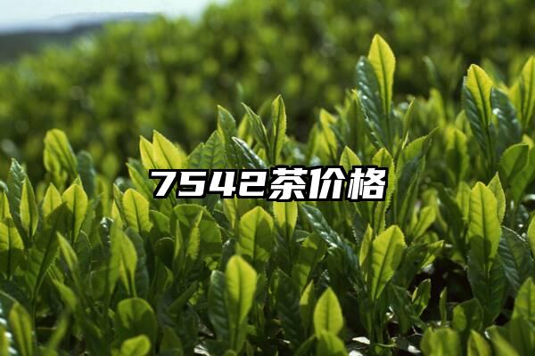 7542茶价格