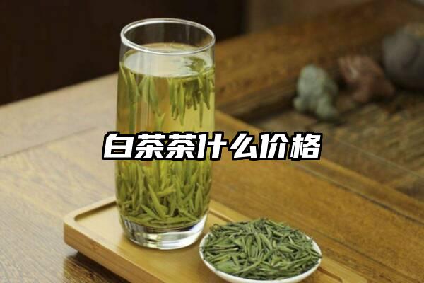 白茶茶什么价格