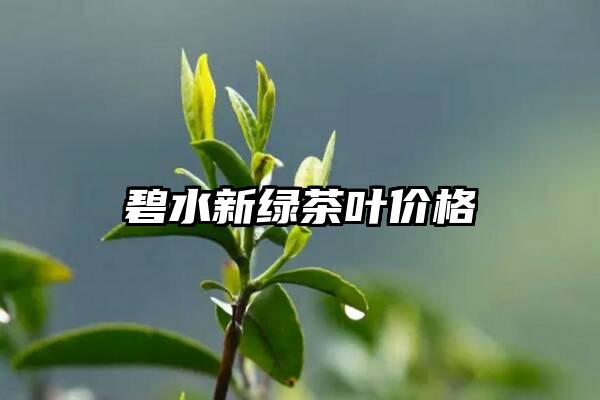 碧水新绿茶叶价格