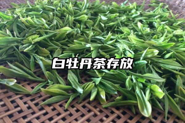 白牡丹茶存放