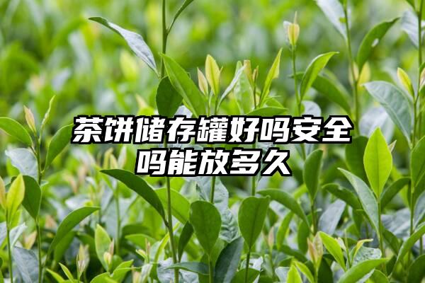 茶饼储存罐好吗安全吗能放多久