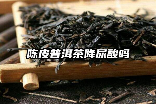 陈皮普洱茶降尿酸吗