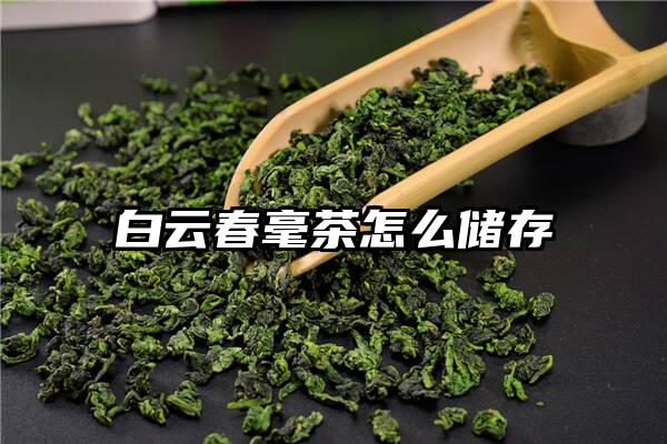 白云春毫茶怎么储存