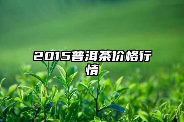 2015普洱茶价格行情