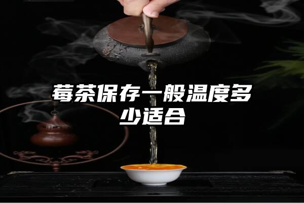 莓茶保存一般温度多少适合