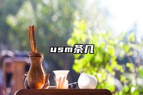 usm茶几