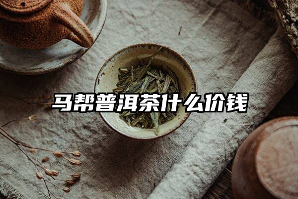 马帮普洱茶什么价钱