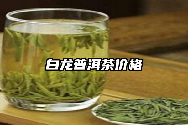 白龙普洱茶价格