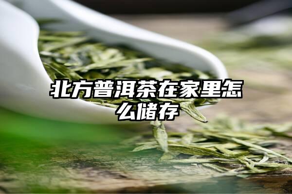 北方普洱茶在家里怎么储存