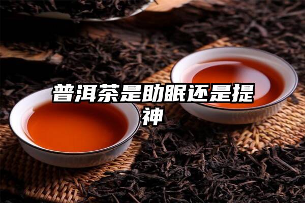 普洱茶是助眠还是提神