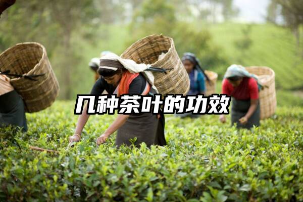 几种茶叶的功效