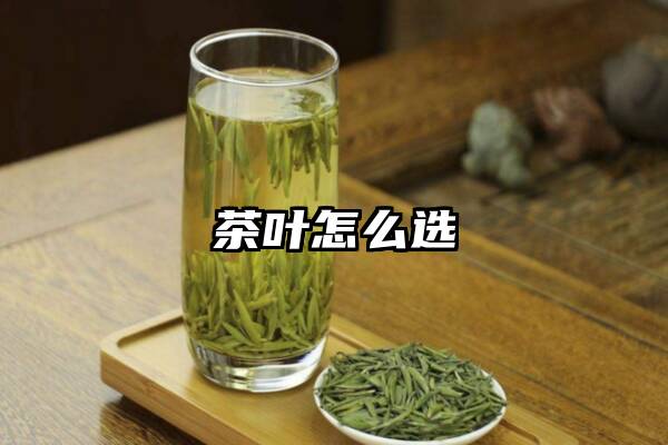 茶叶怎么选