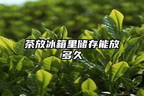 茶放冰箱里储存能放多久